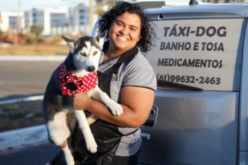 Táxi-dog cuidado com seu pet